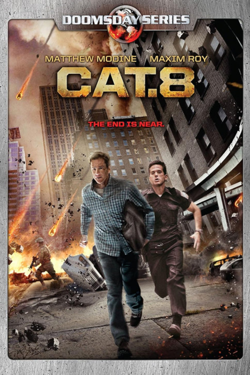 CAT. 8