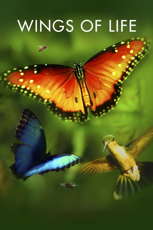 Disneynature: Wings of Life