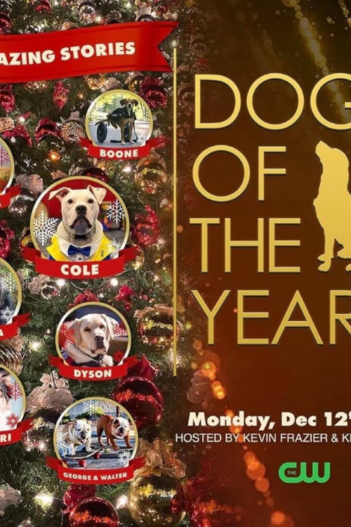 Dogs of the Year 2022