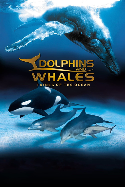 Dolphins and Whales 3D: Tribes of the Ocean