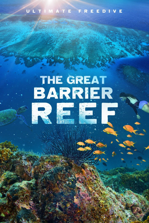 Great Barrier Reef 4K