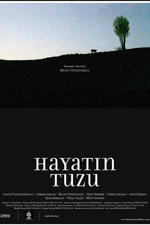 Hayatin Tuzu