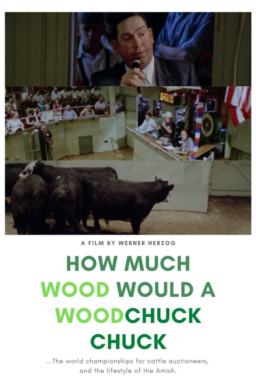 How much Wood would a Woodchuck chuck... - Beobachtungen zu einer neuen Sprache
