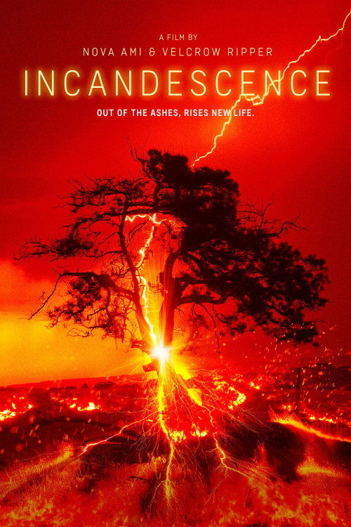 Incandescence