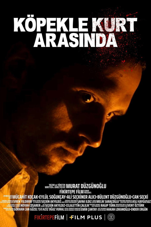 Köpekle Kurt Arasinda