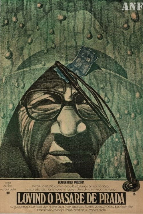 Lovind o pasare de prada