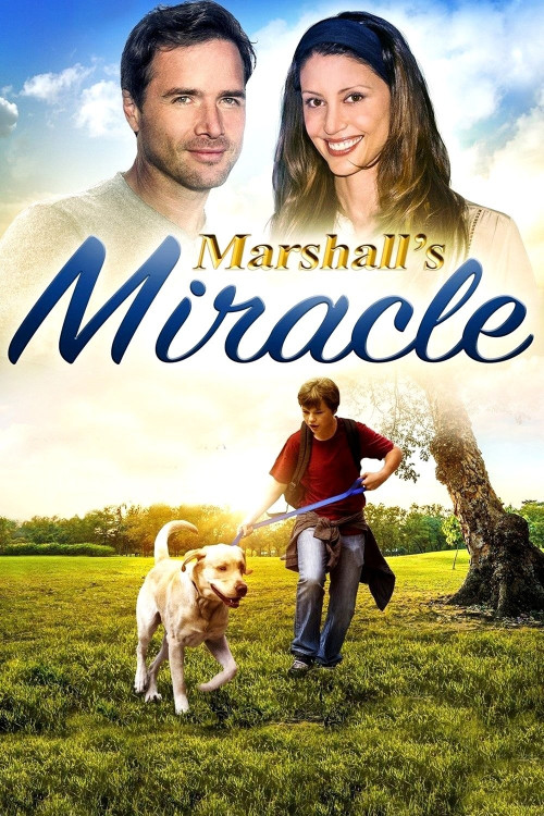 Marshall the Miracle Dog