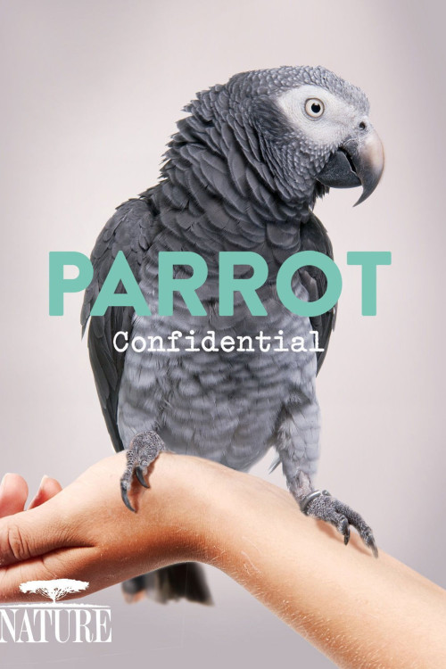 Nature Parrot Confidential