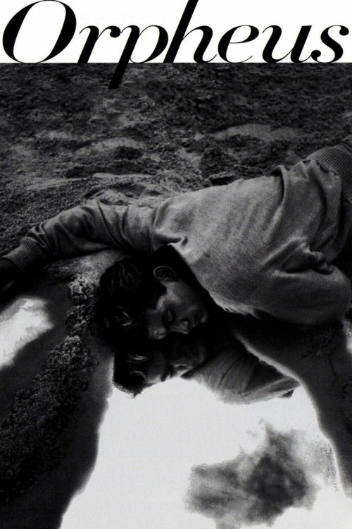 Orphée