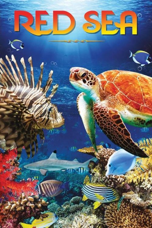Red Sea 4K