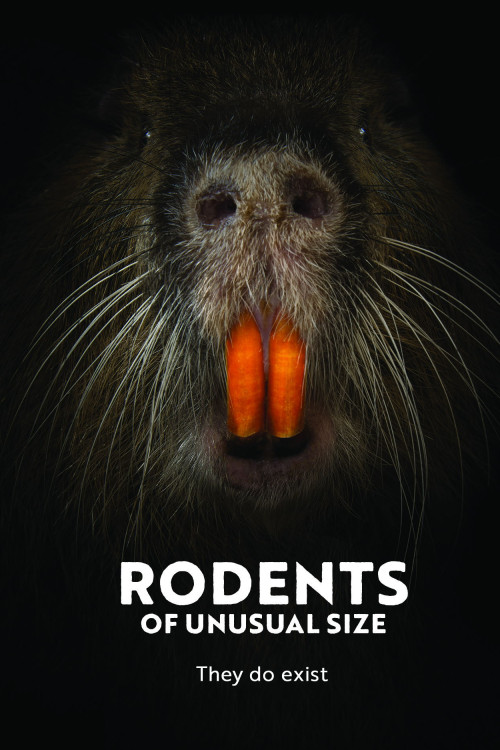 Rodents of Unusual Size