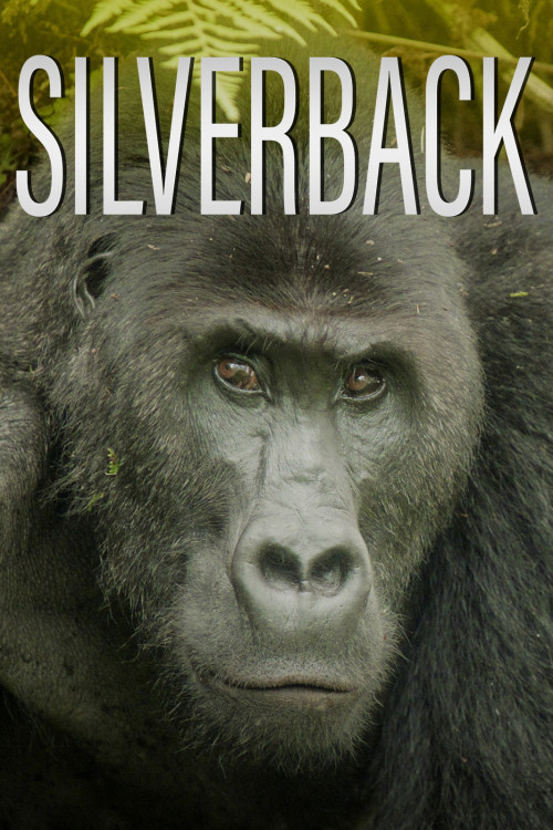 Silverback