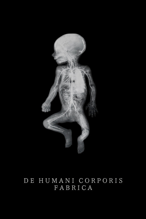 The Fabric of the Human Body