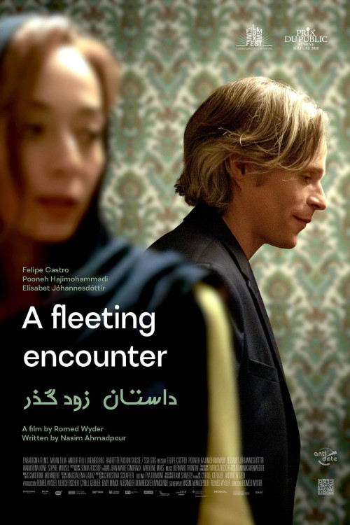 Une histoire provisoire