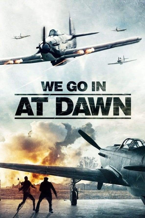 We Go in at Dawn