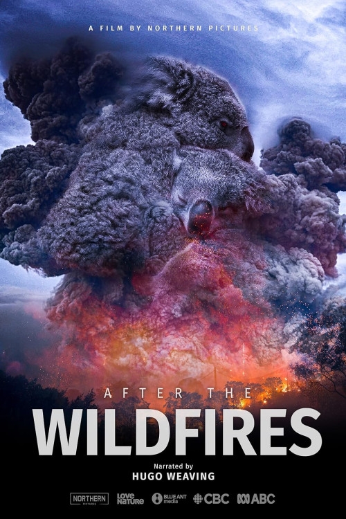 After the Wildfires