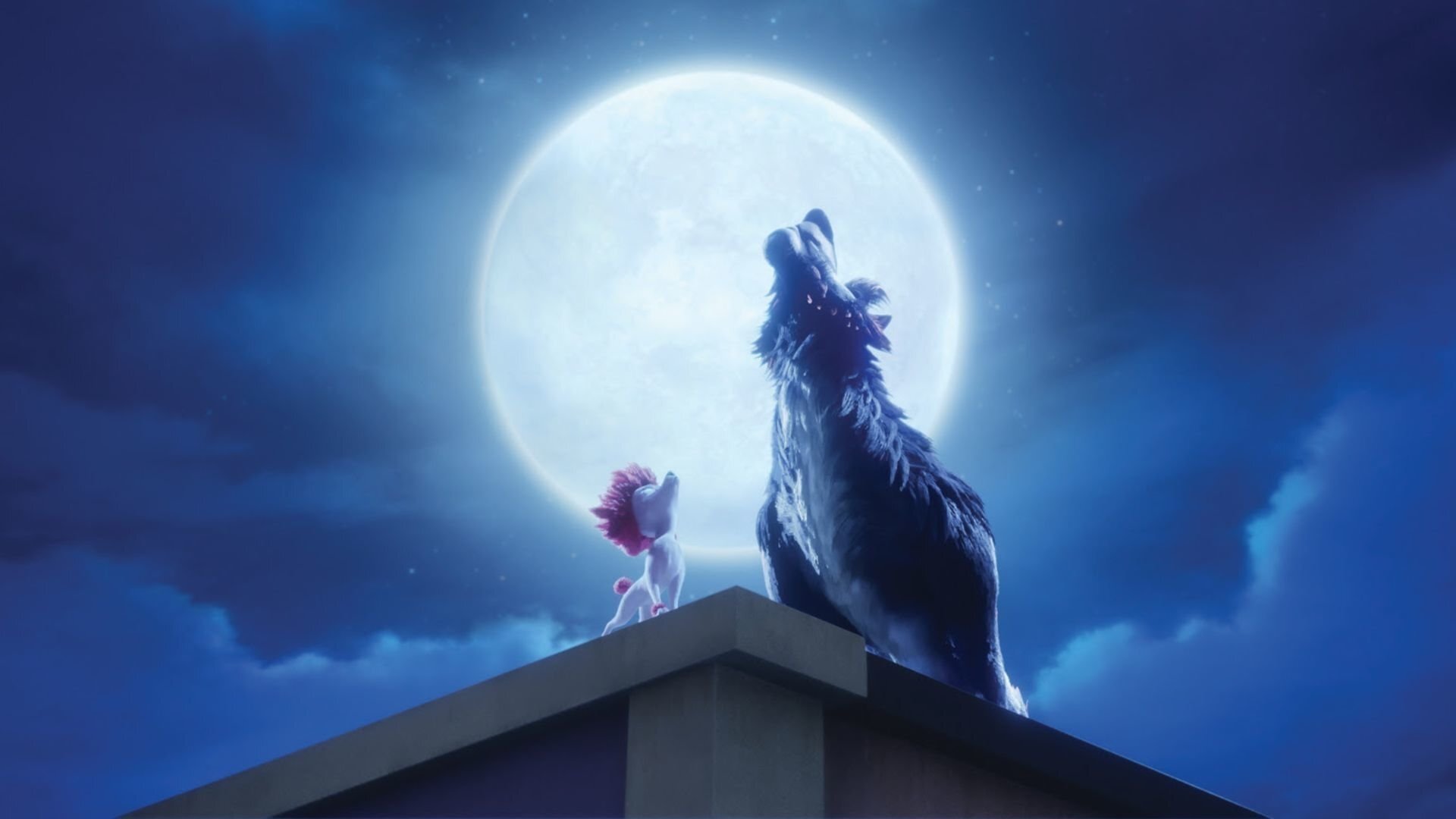 100% Wolf scene photo