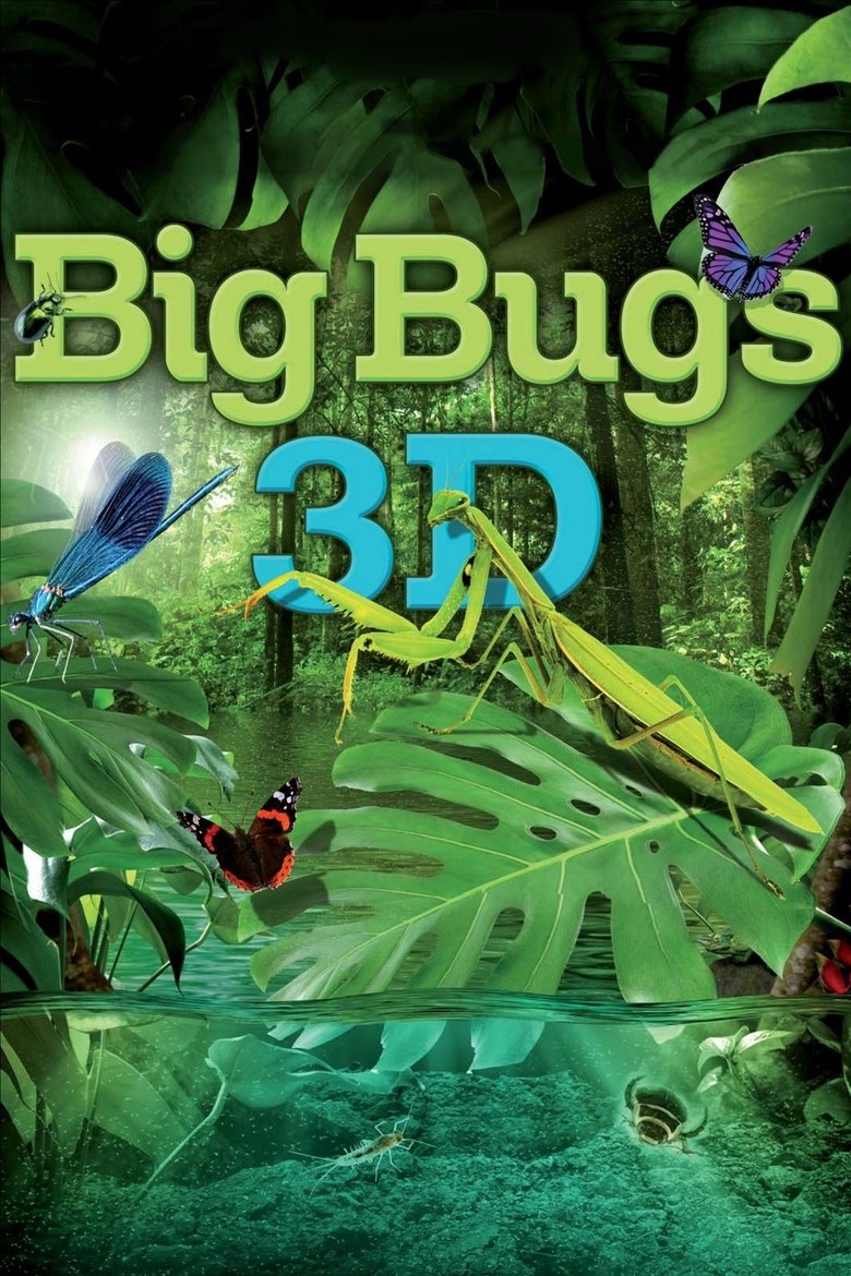 Terra Mater Big Bugs - Kleine Krabbler ganz groß