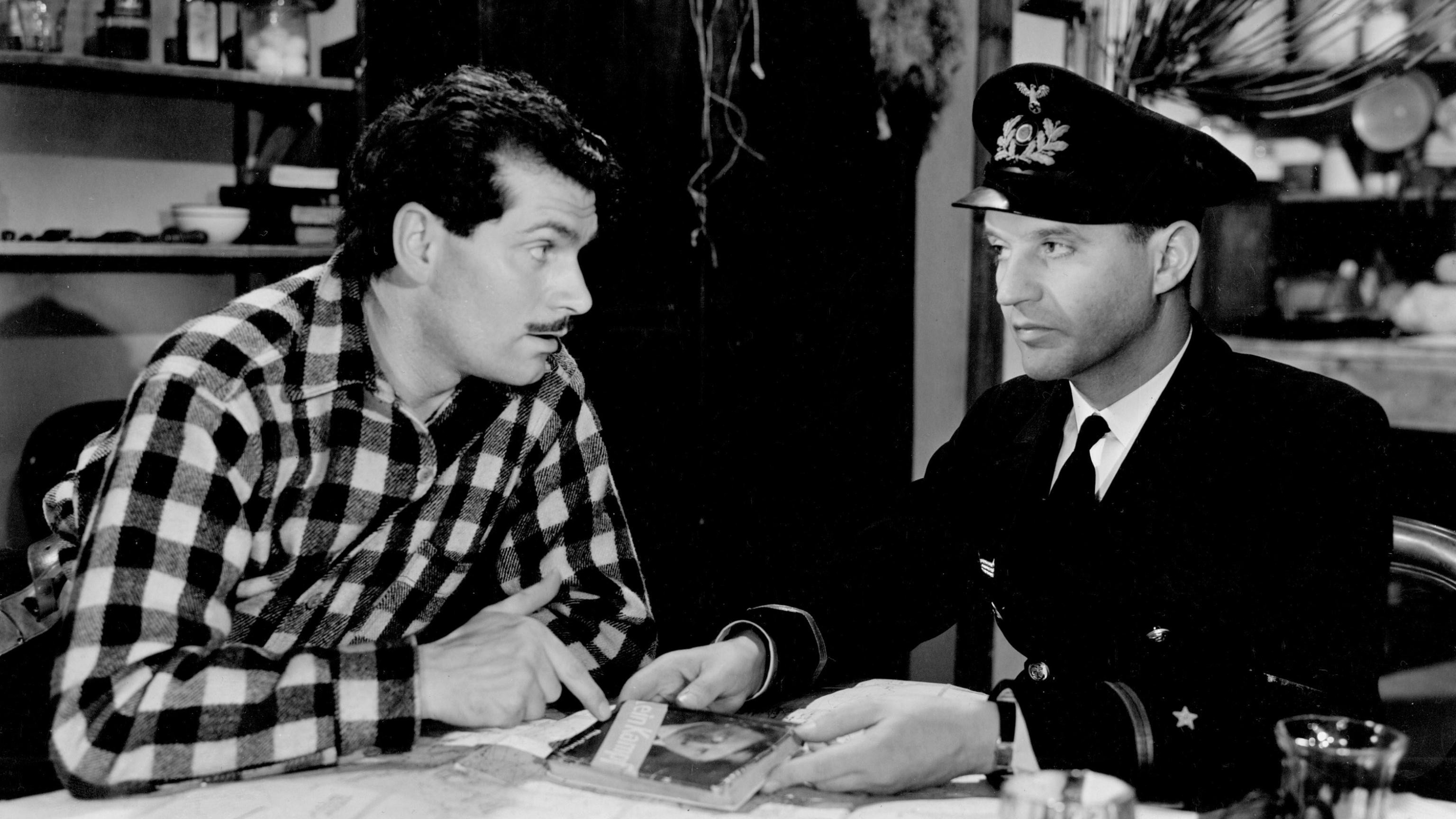 49th Parallel scene photo