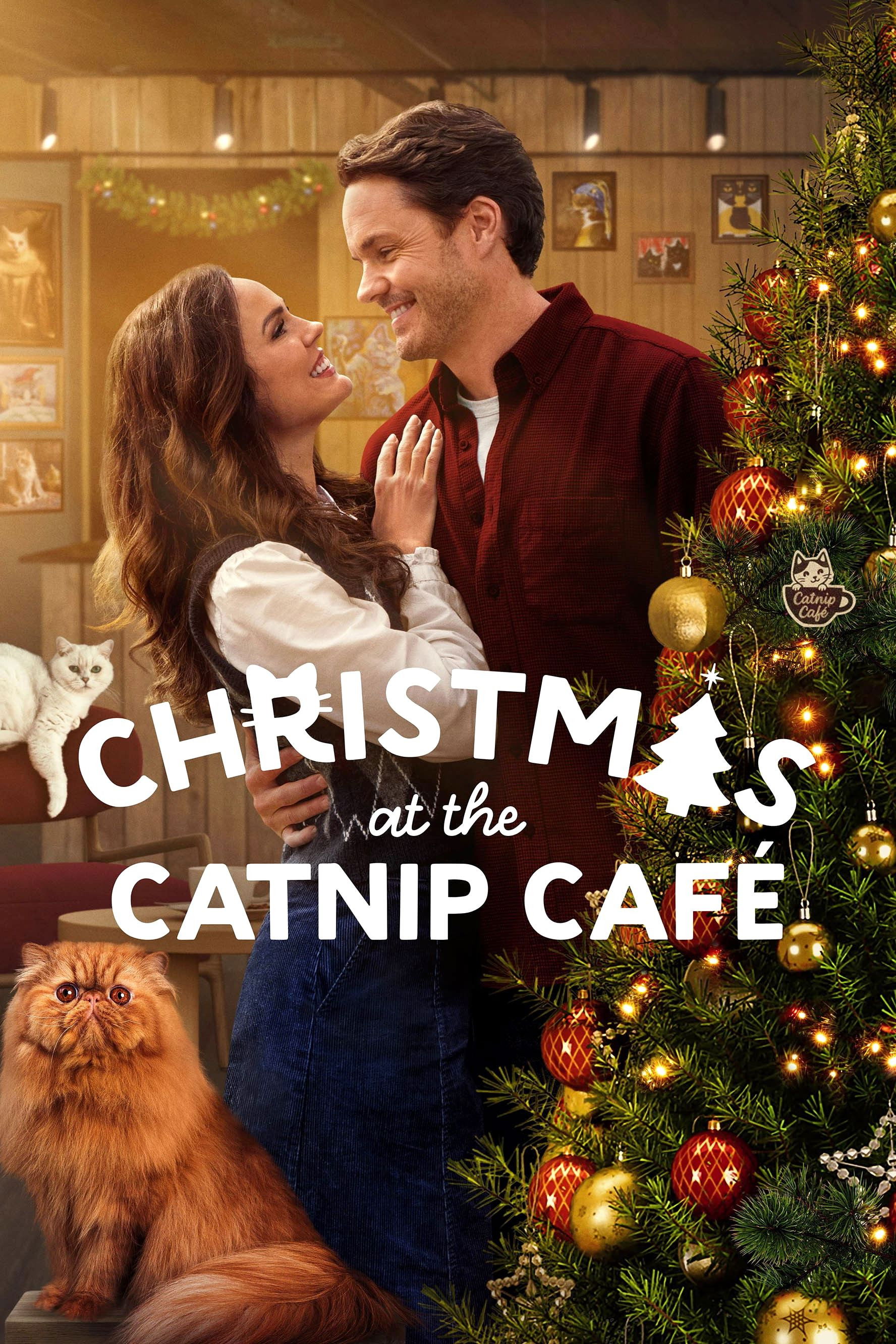 Christmas at the Catnip Cafe