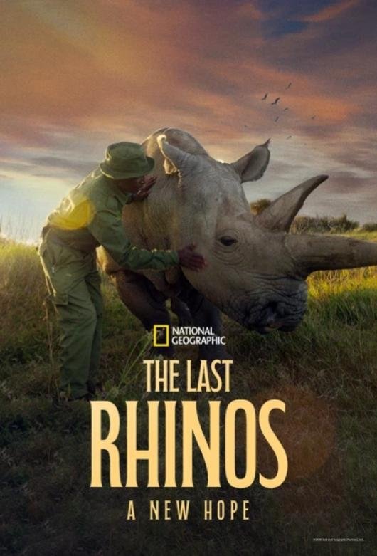 The Last Rhinos: A New Hope