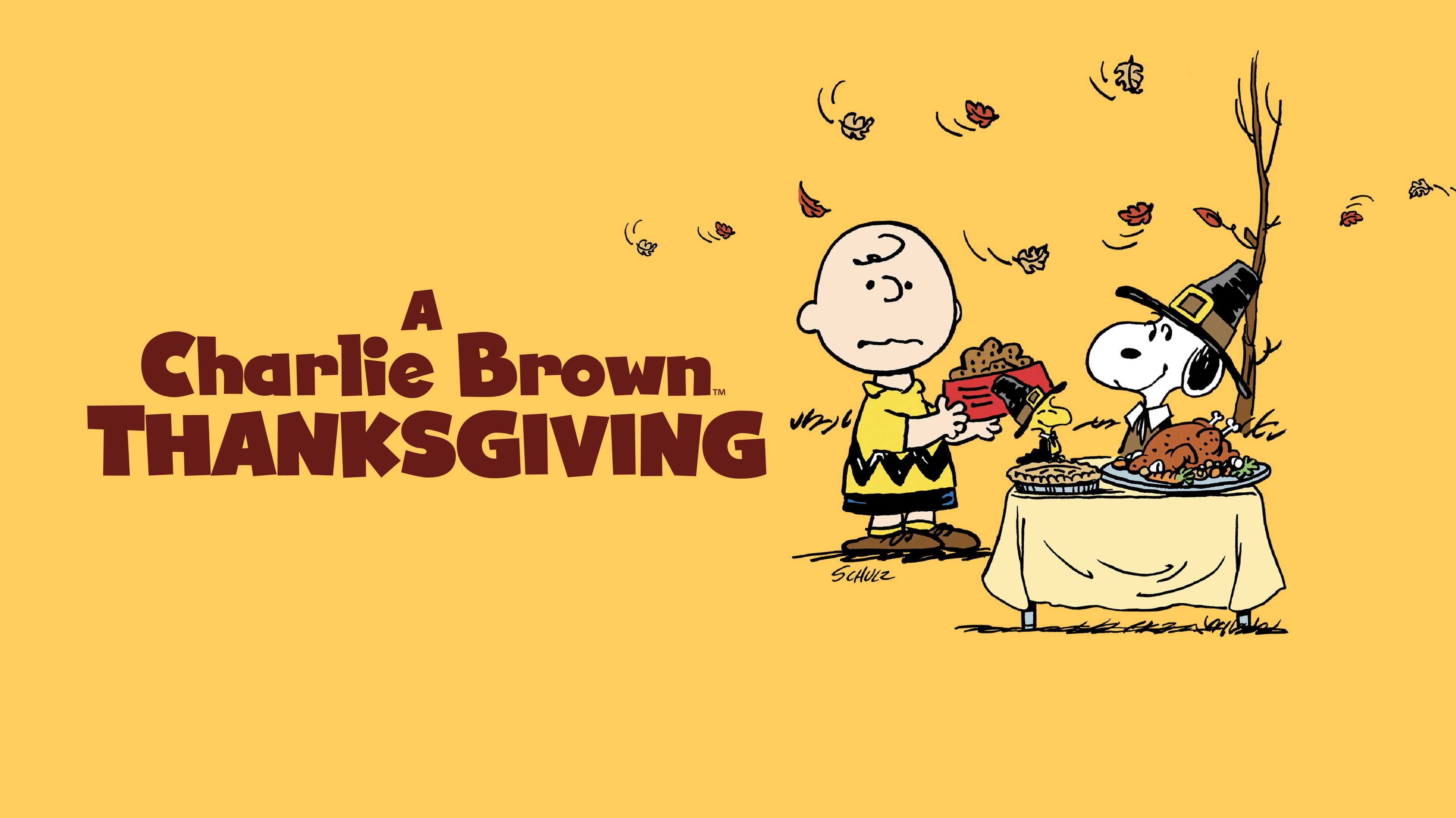 A Charlie Brown Thanksgiving scene photo