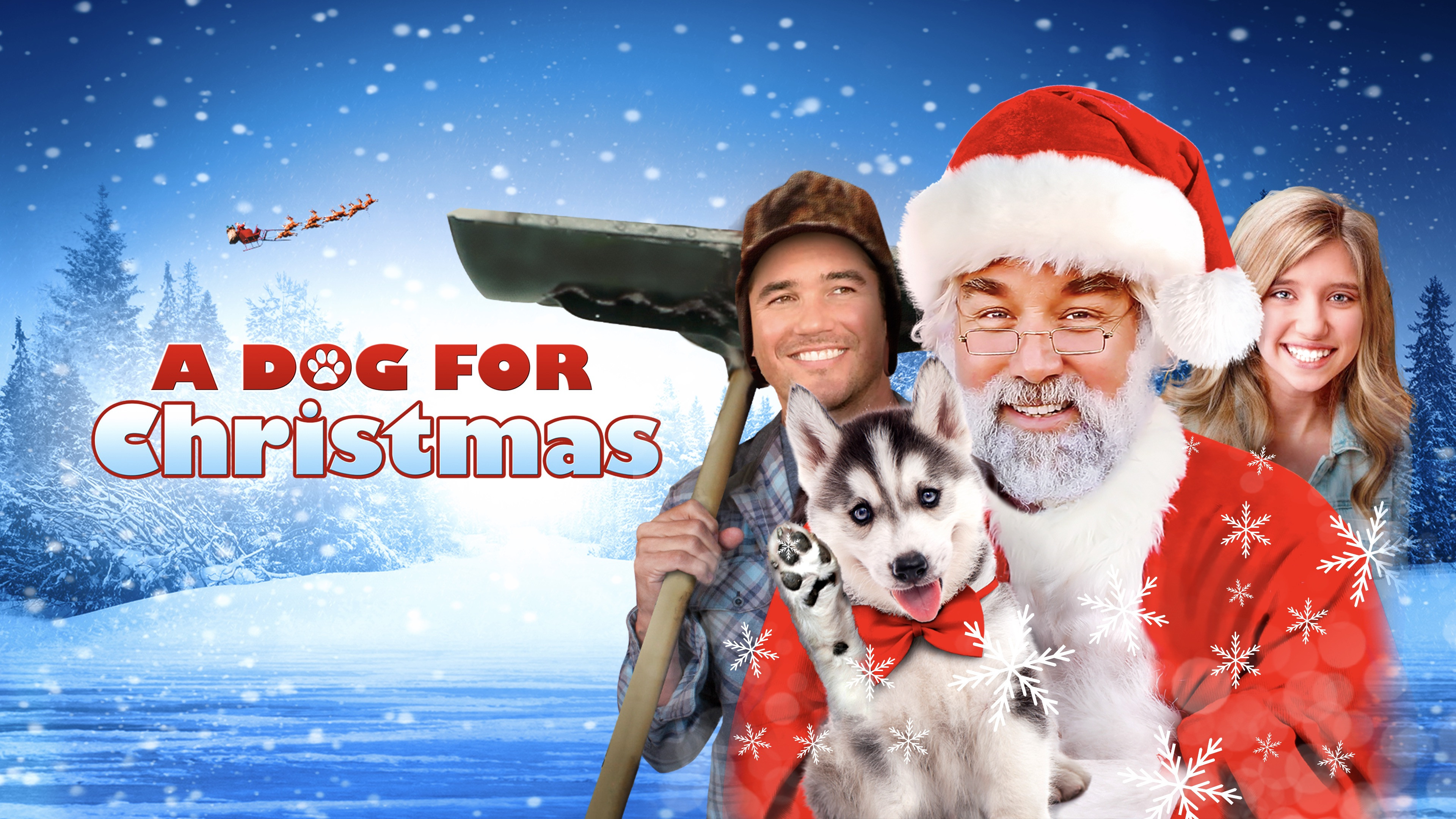 A Dog for Christmas scene photo