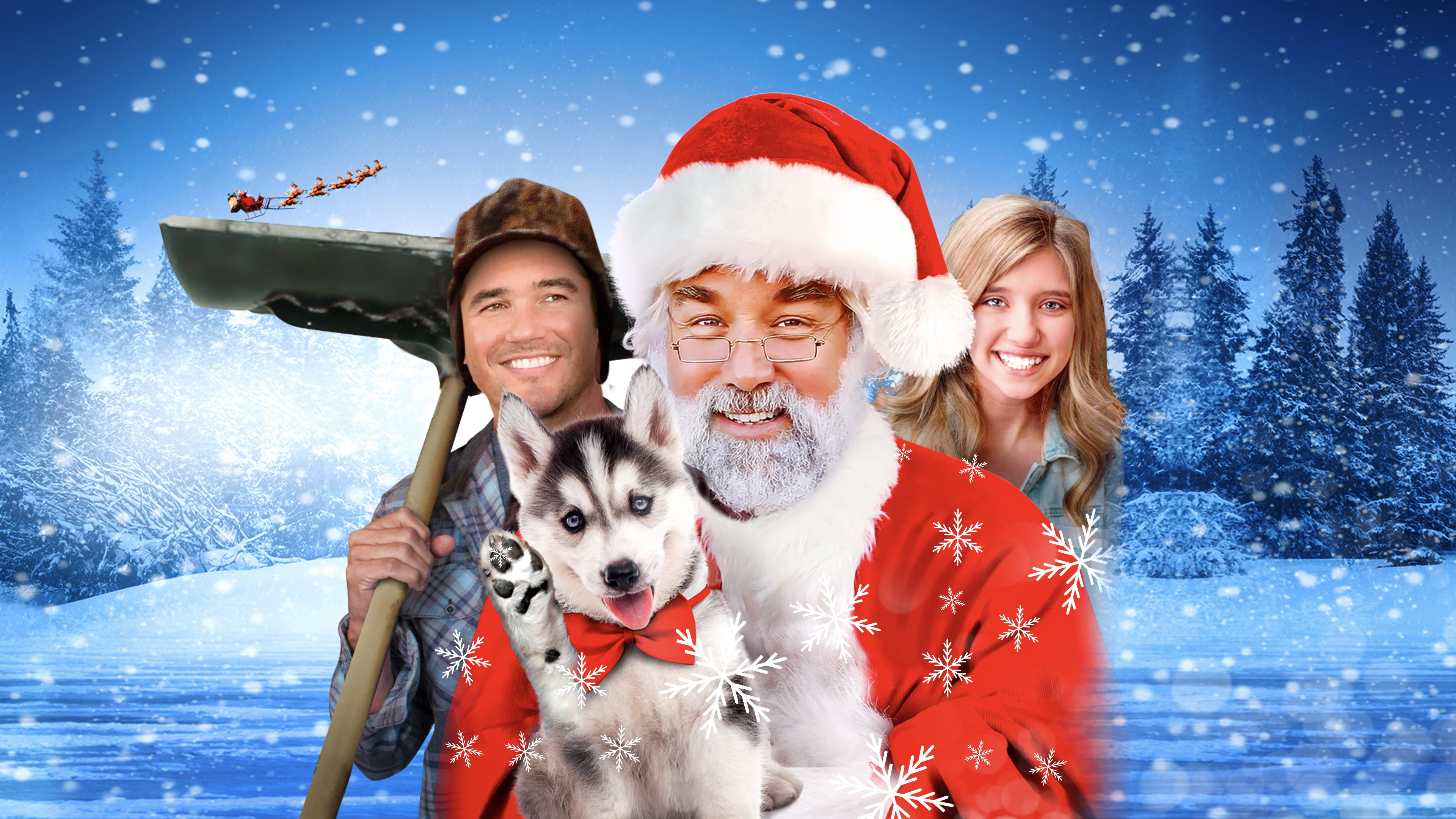 A Dog for Christmas scene photo