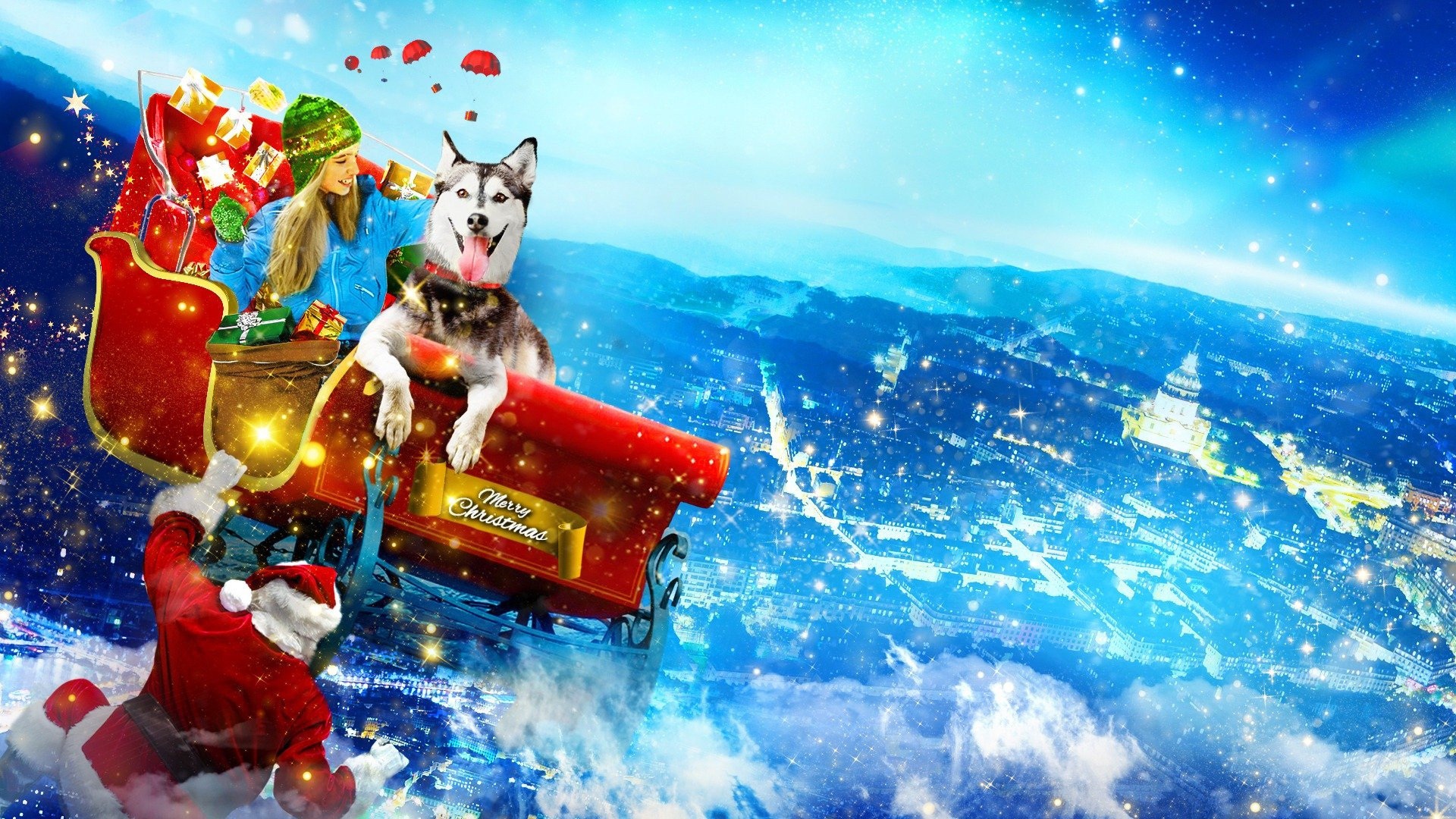 A Dog for Christmas scene photo