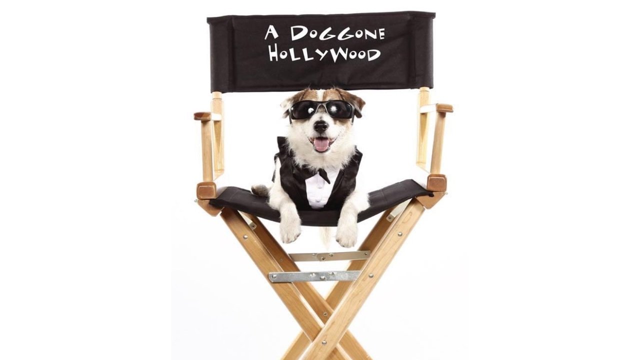 A Doggone Hollywood scene photo
