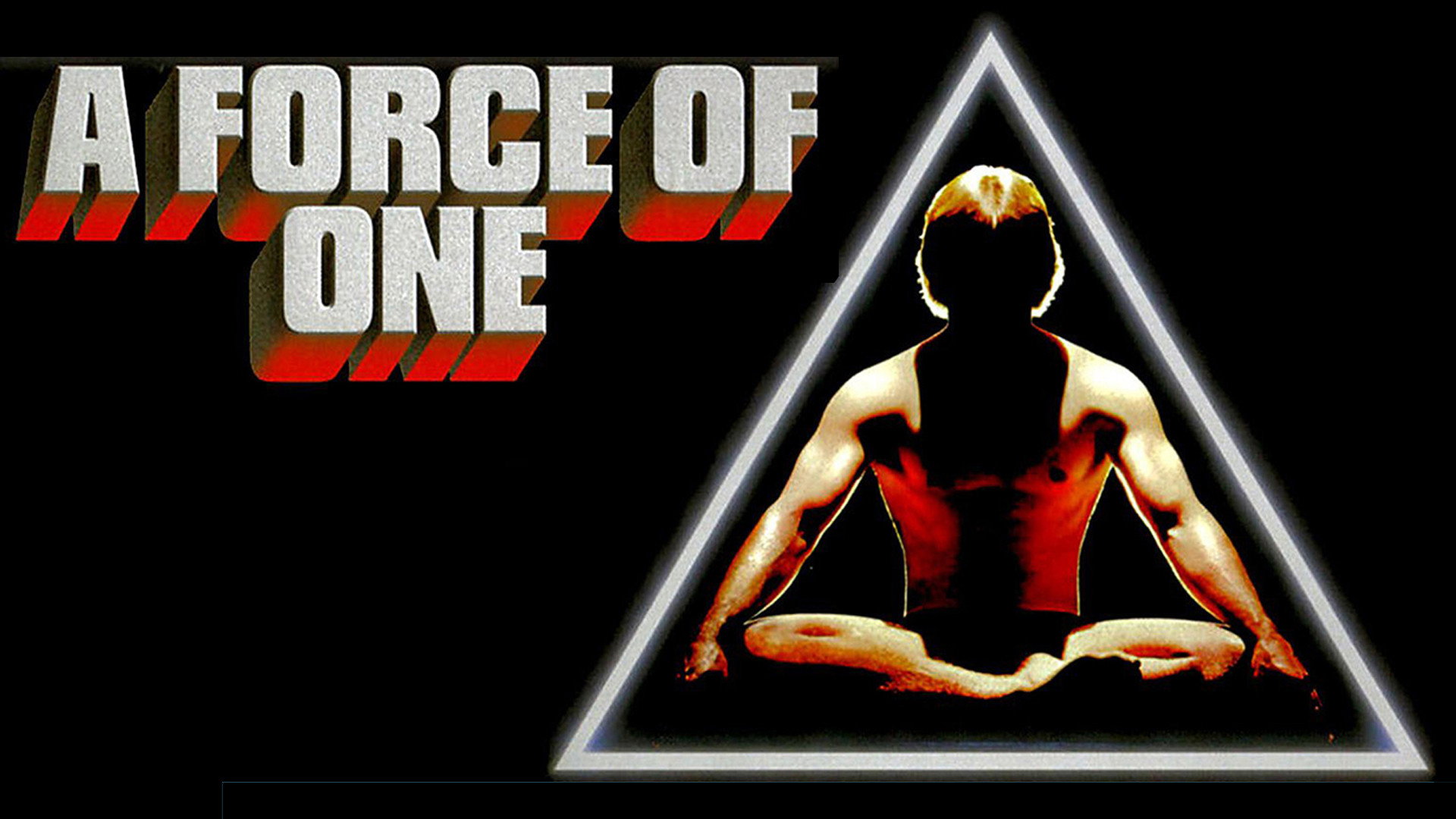 A Force of One scene photo