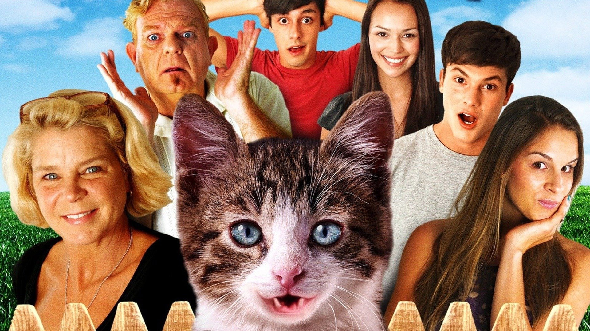 A Talking Cat!?! scene photo