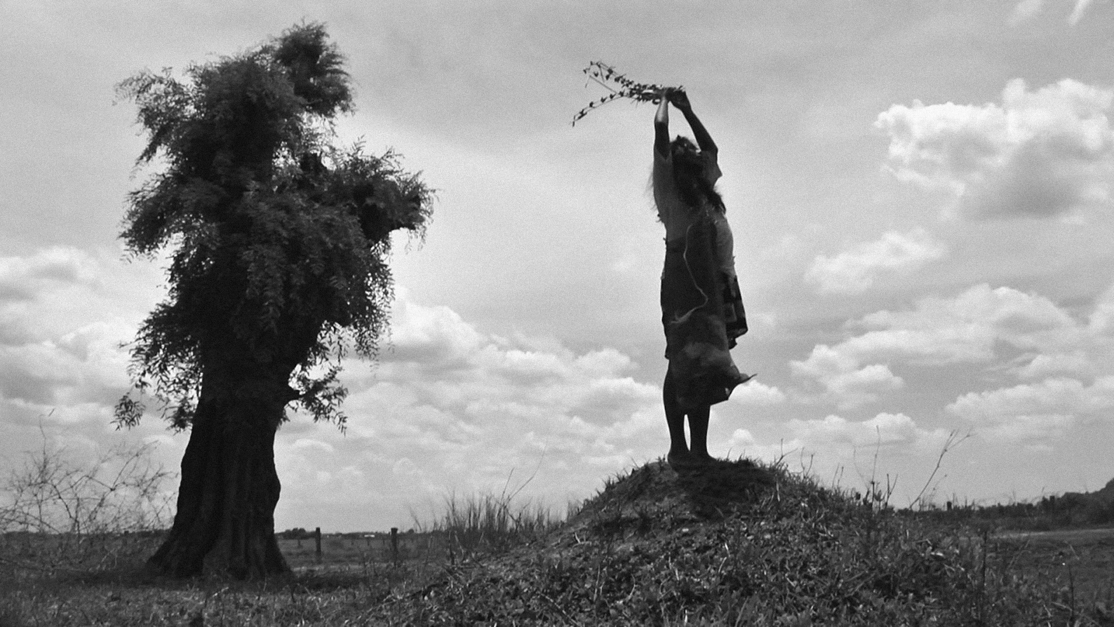 A torinói ló scene photo