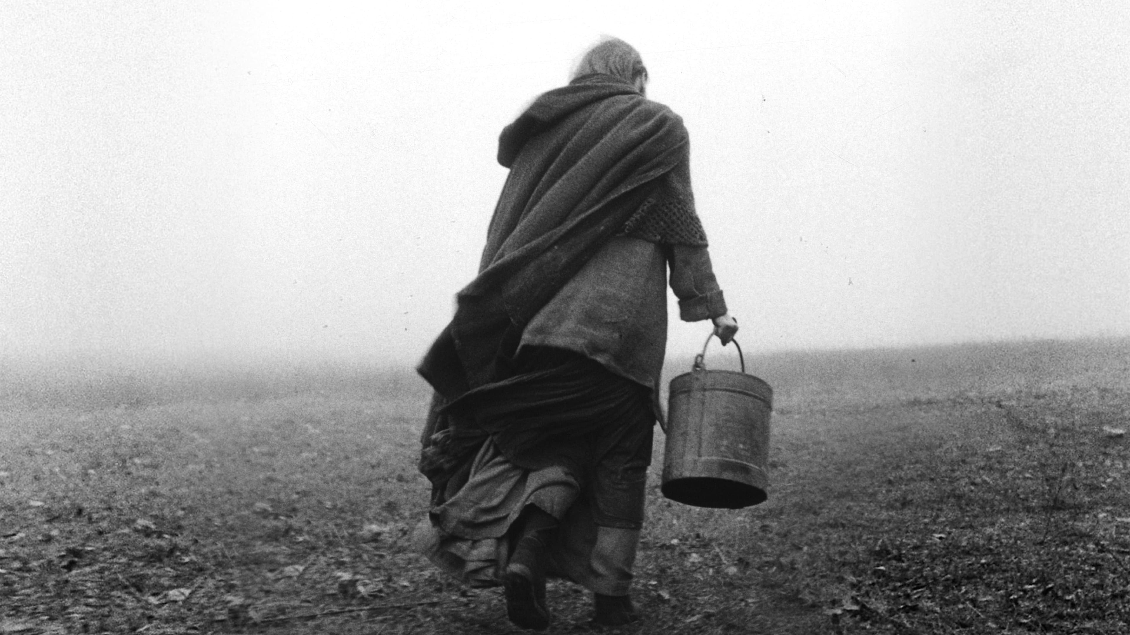 A torinói ló scene photo