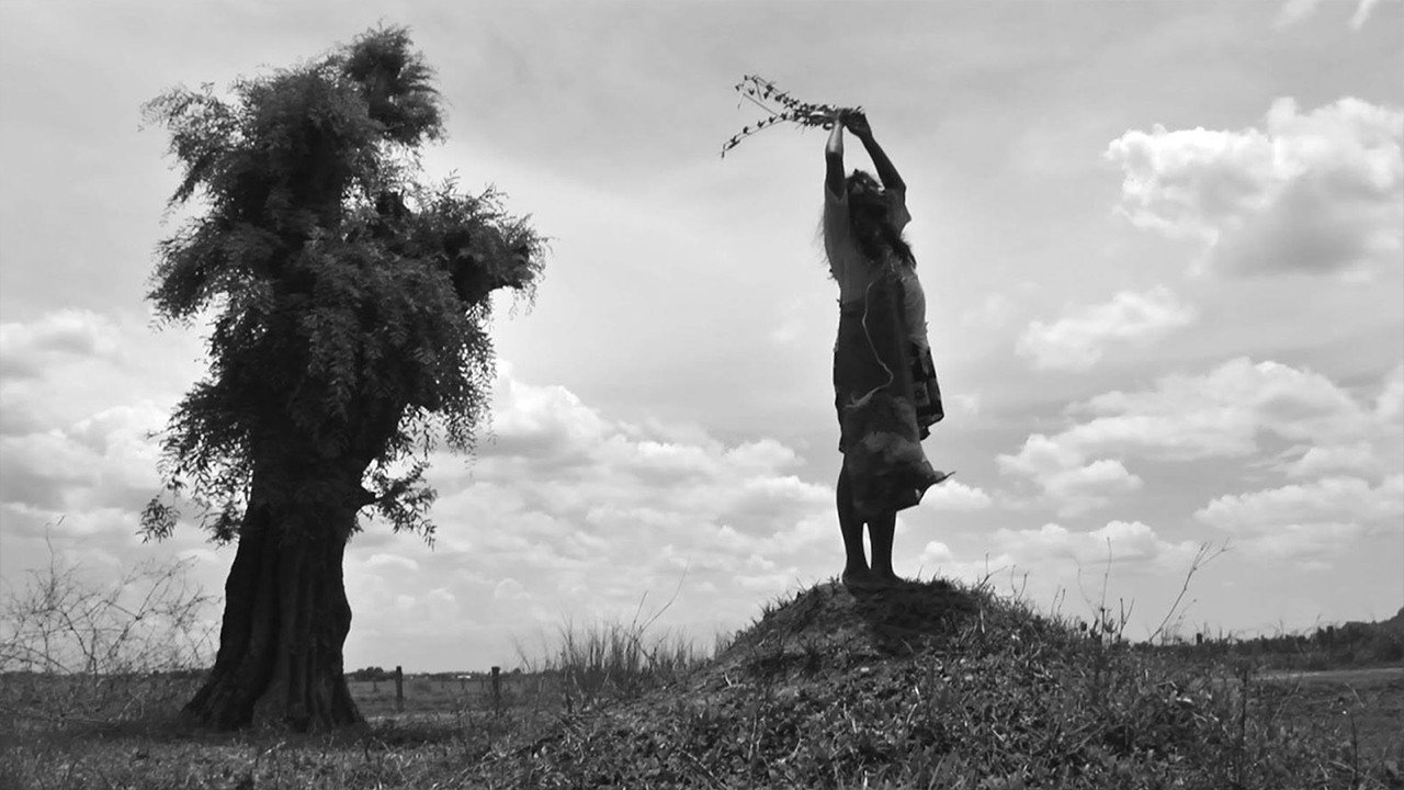 A torinói ló scene photo