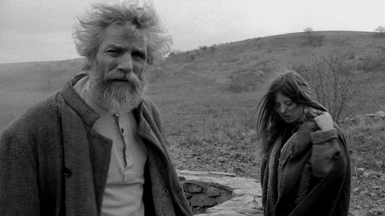 A torinói ló scene photo