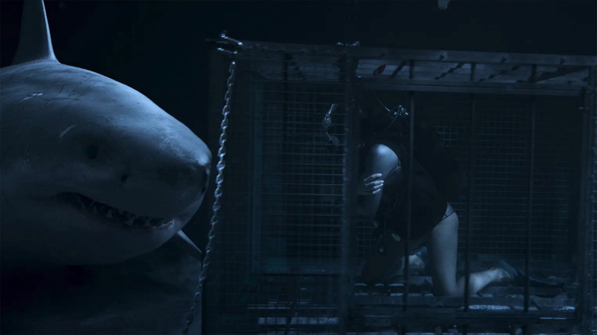 Above and Below scene photo