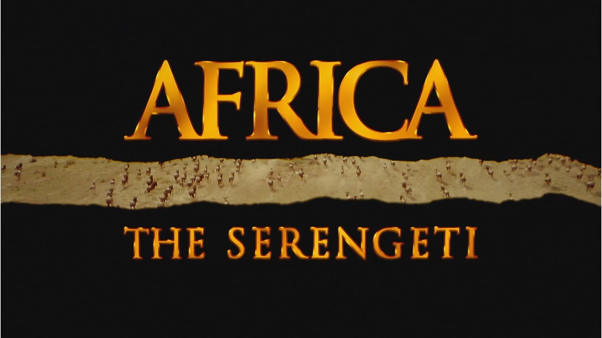 Africa: The Serengeti scene photo