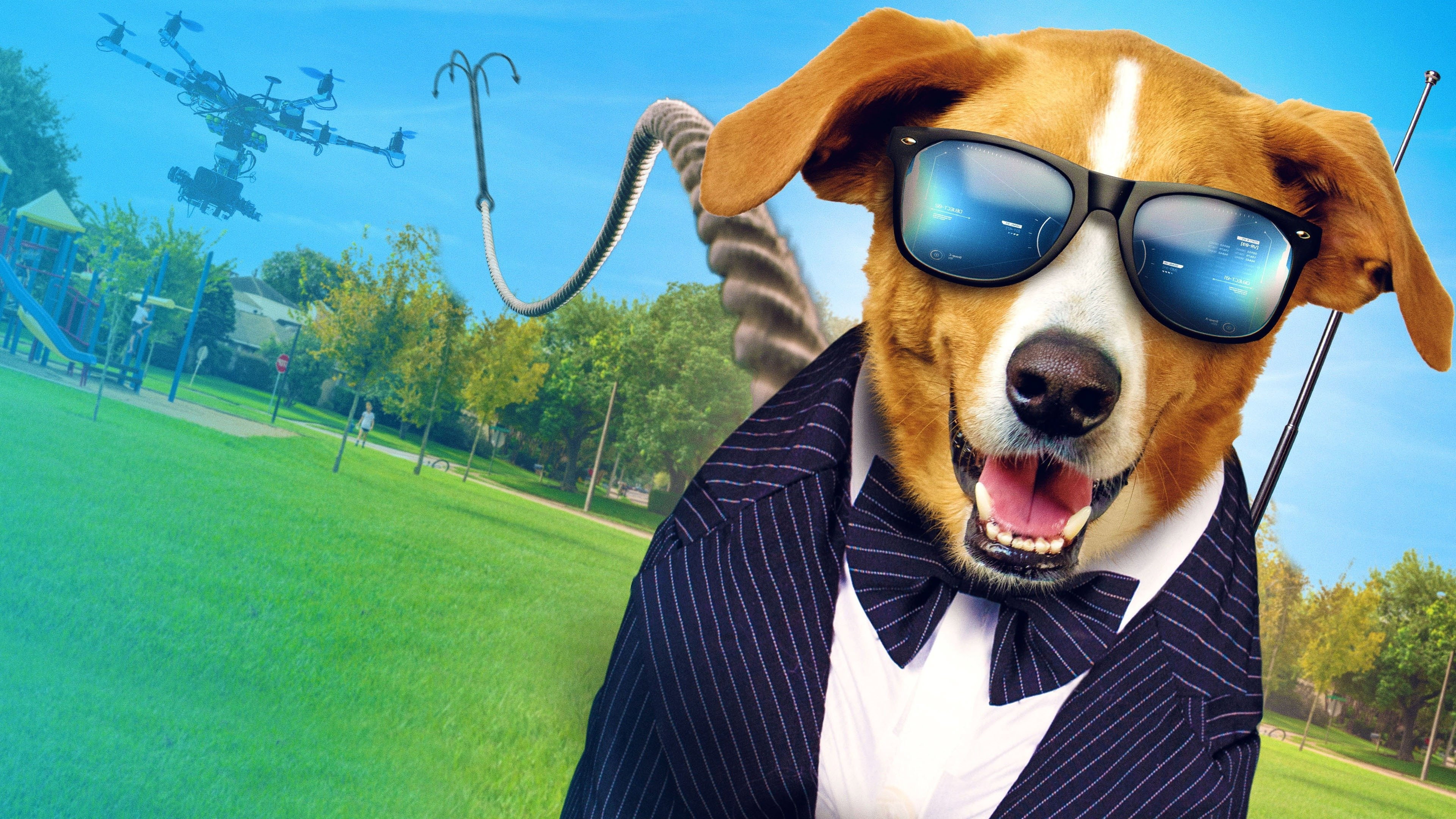 Agent Toby Barks scene photo