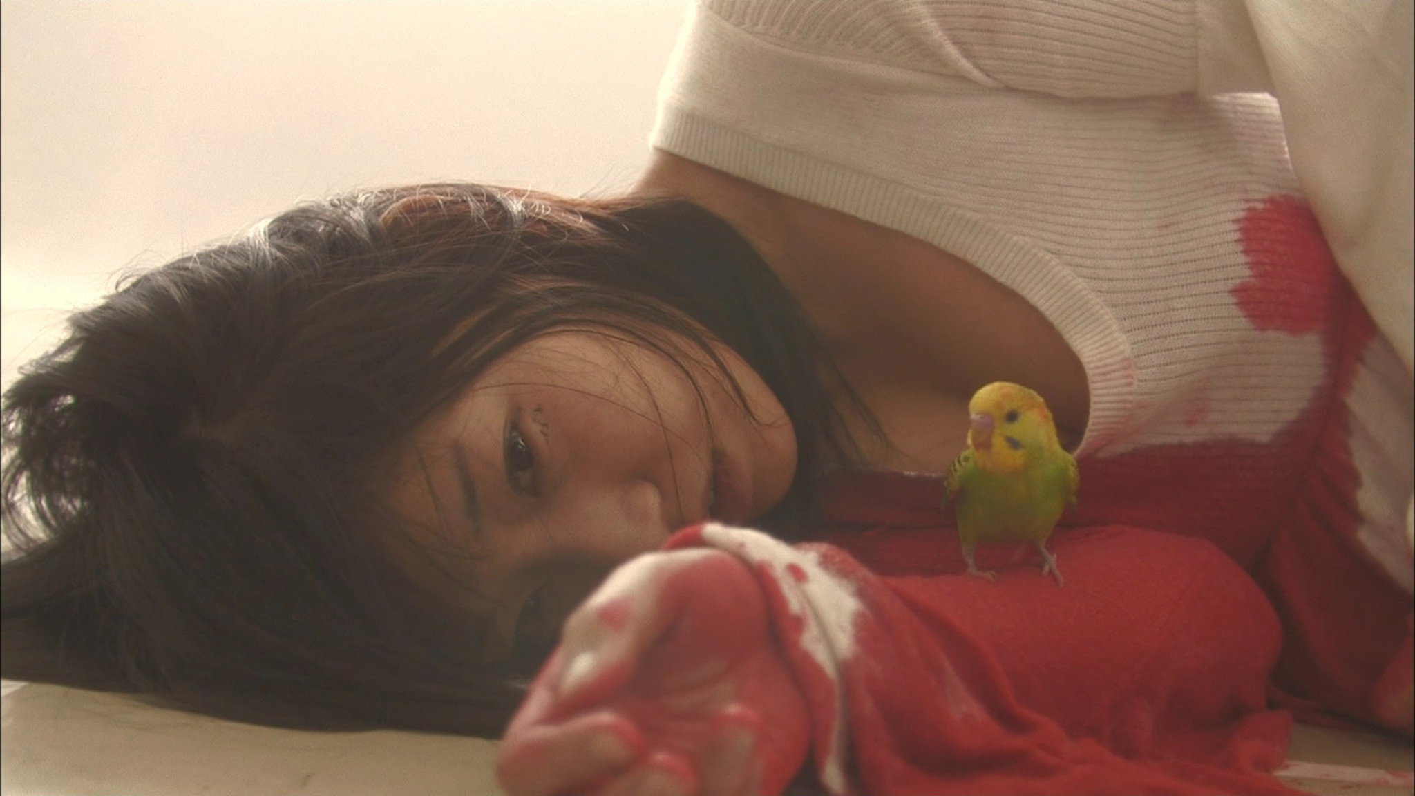 Ai no mukidashi scene photo