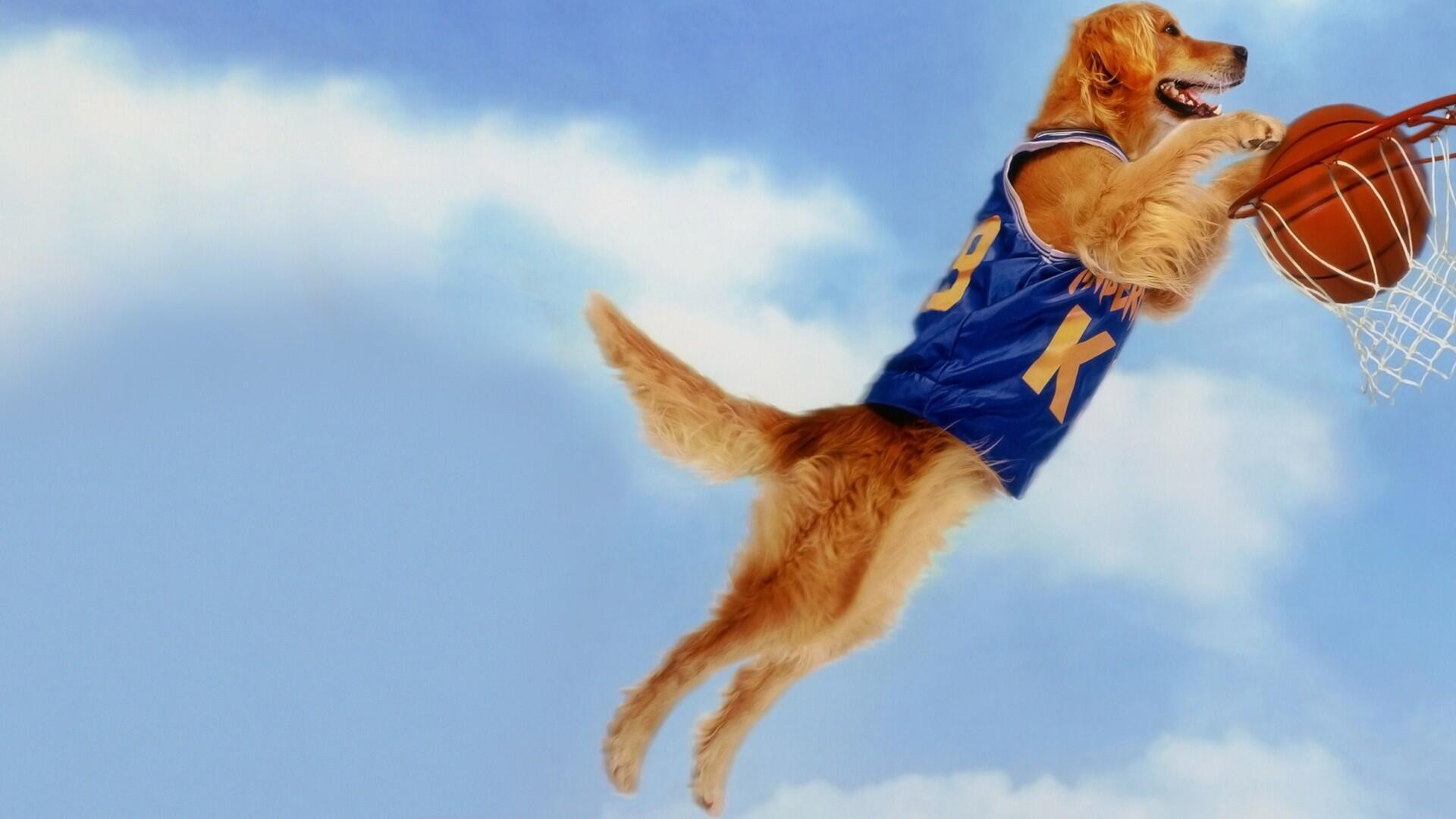 Air Bud scene photo