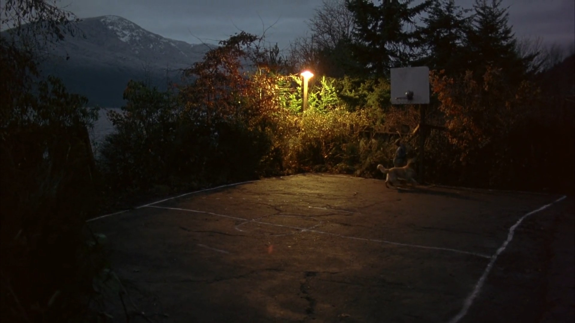 Air Bud scene photo