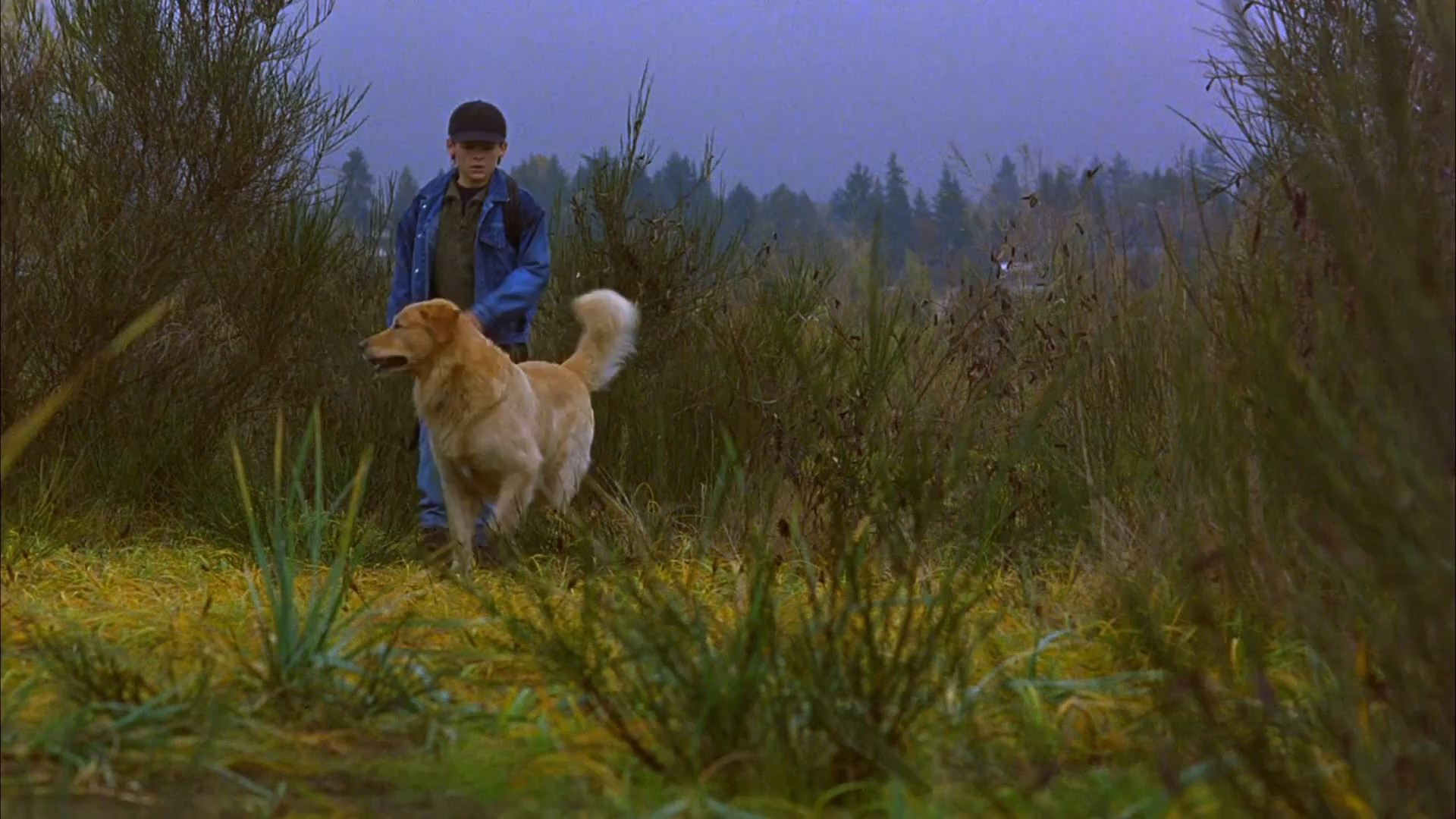 Air Bud scene photo