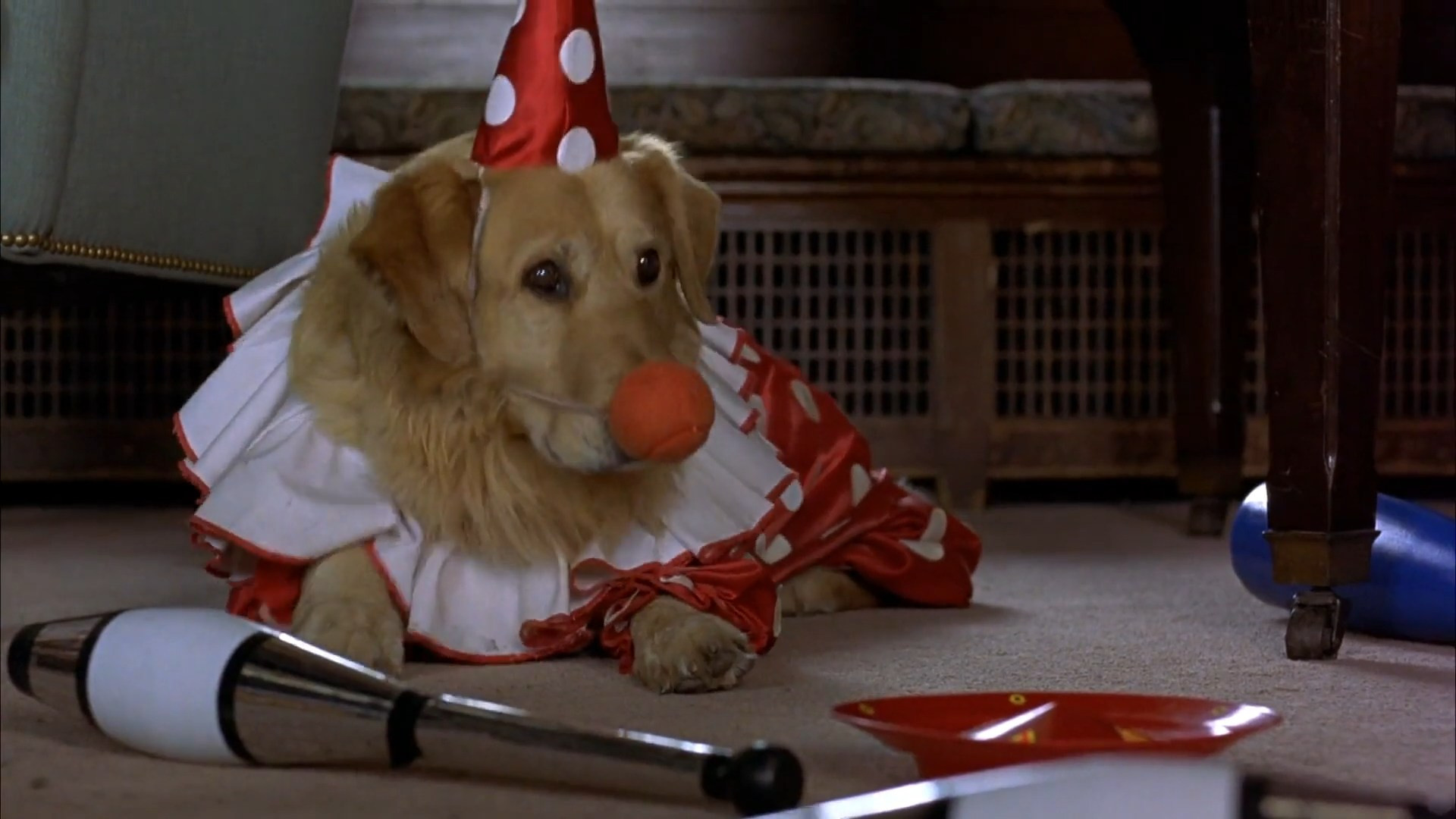 Air Bud scene photo