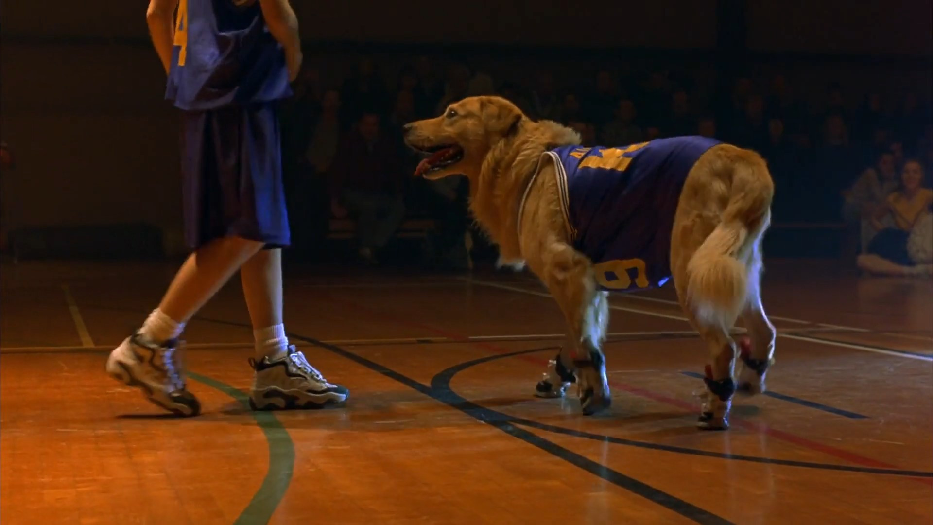 Air Bud scene photo