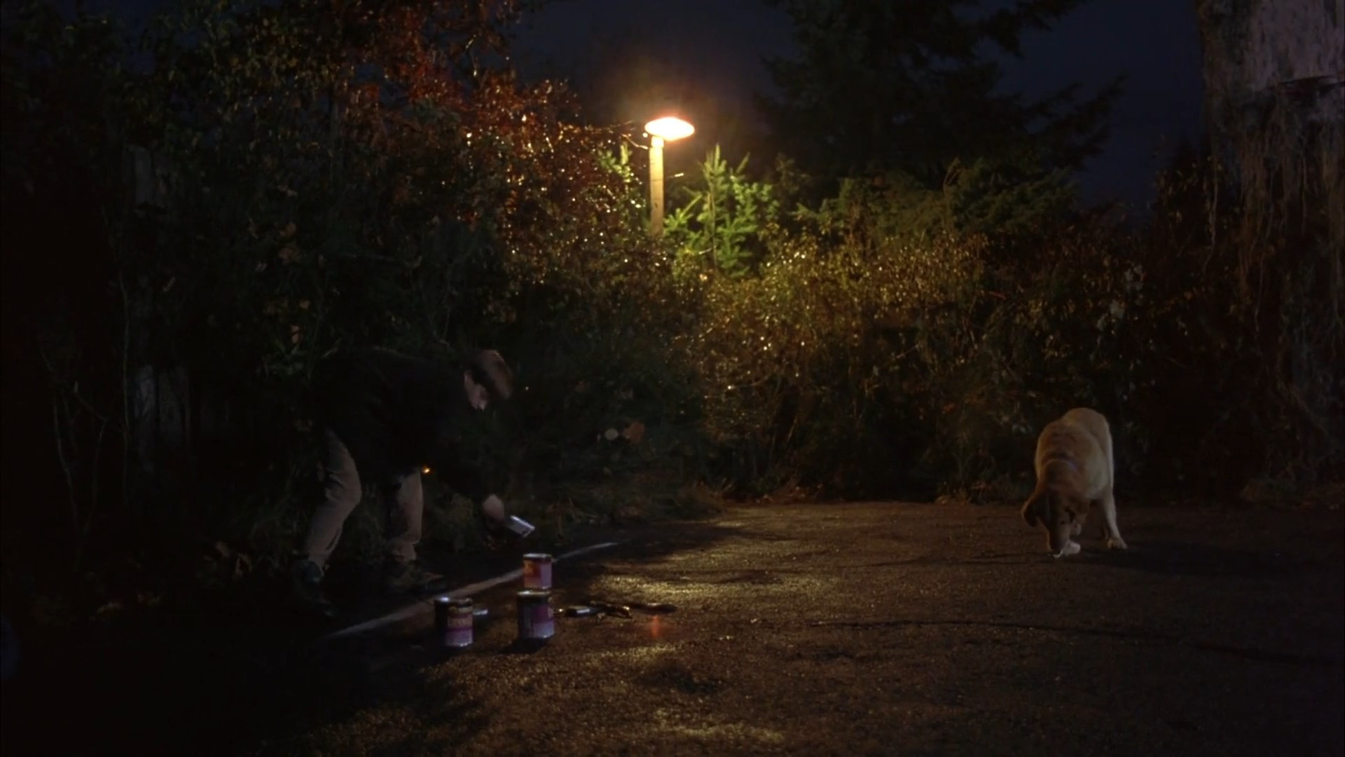 Air Bud scene photo