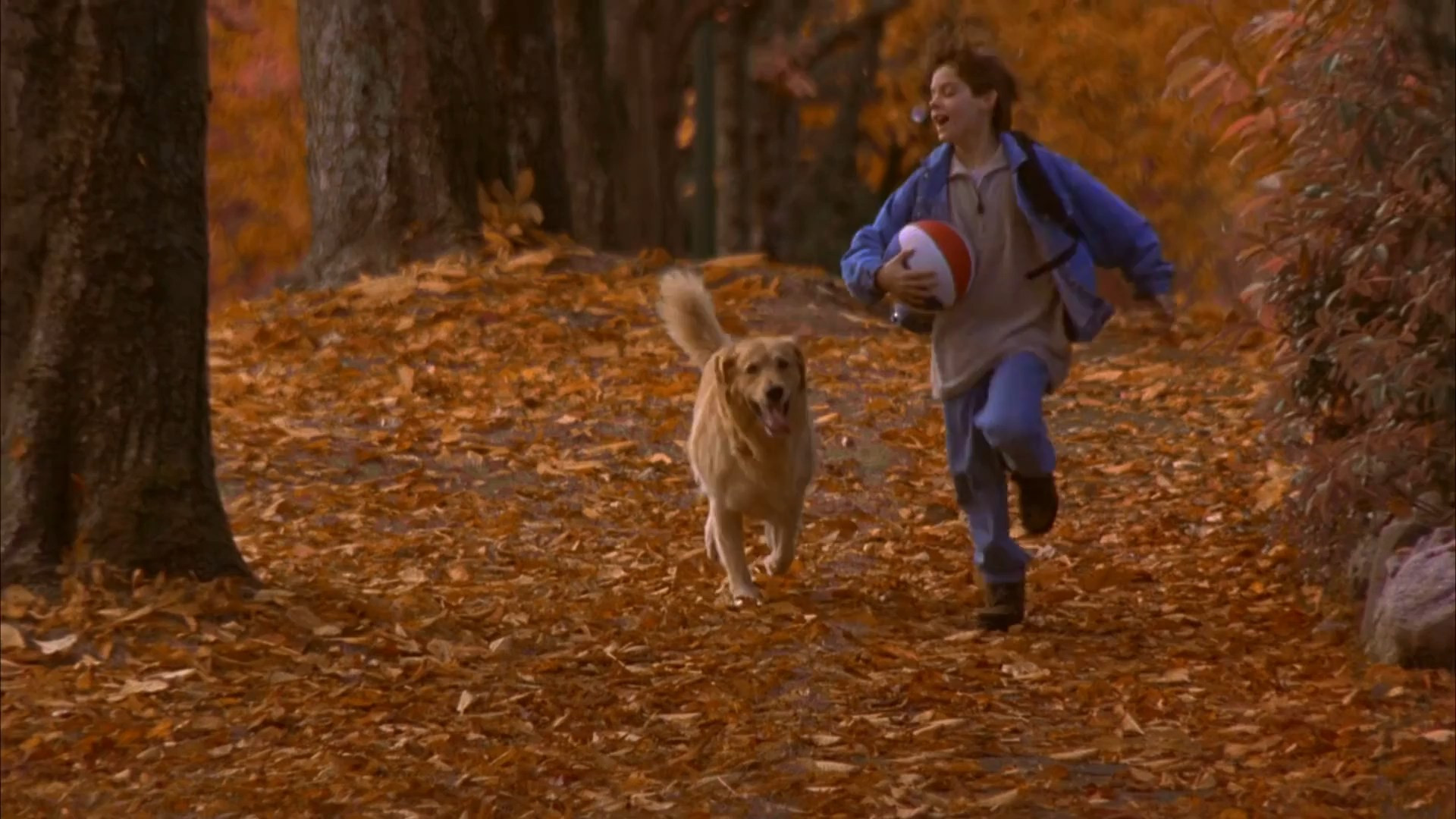 Air Bud scene photo