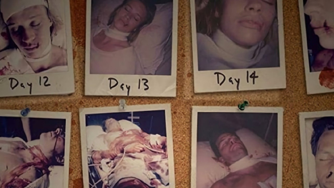 Alive scene photo