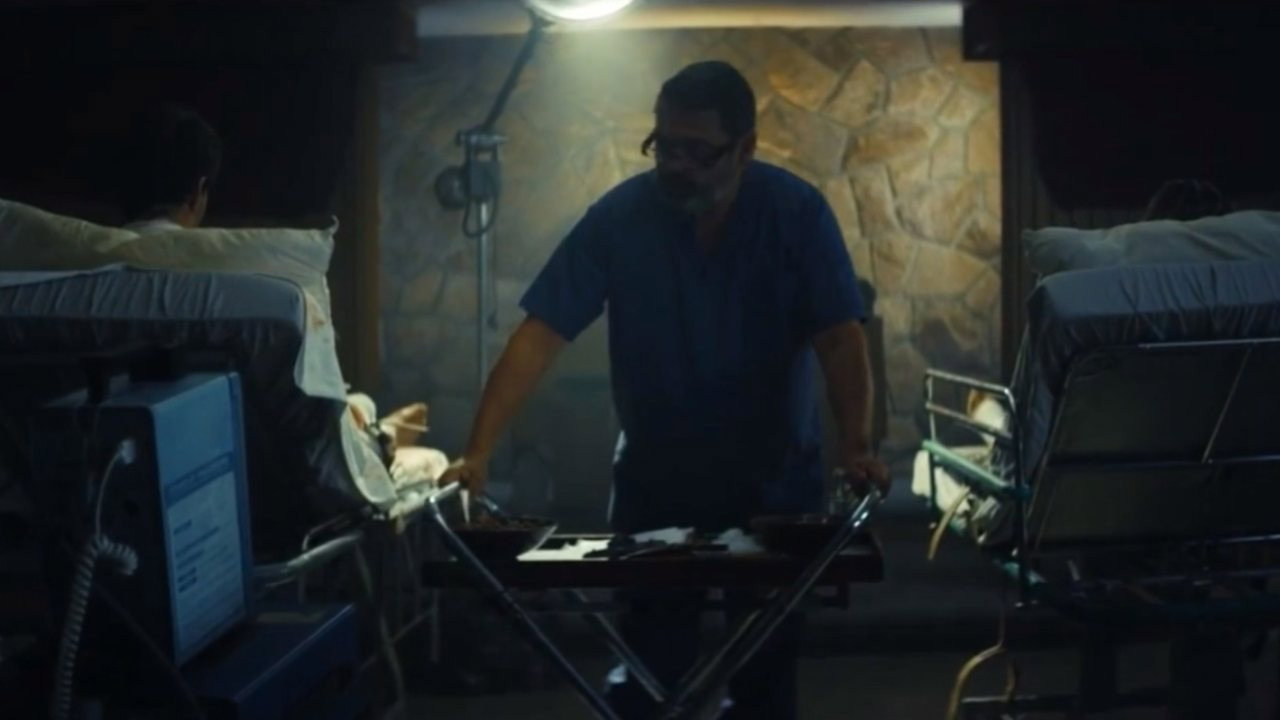Alive scene photo