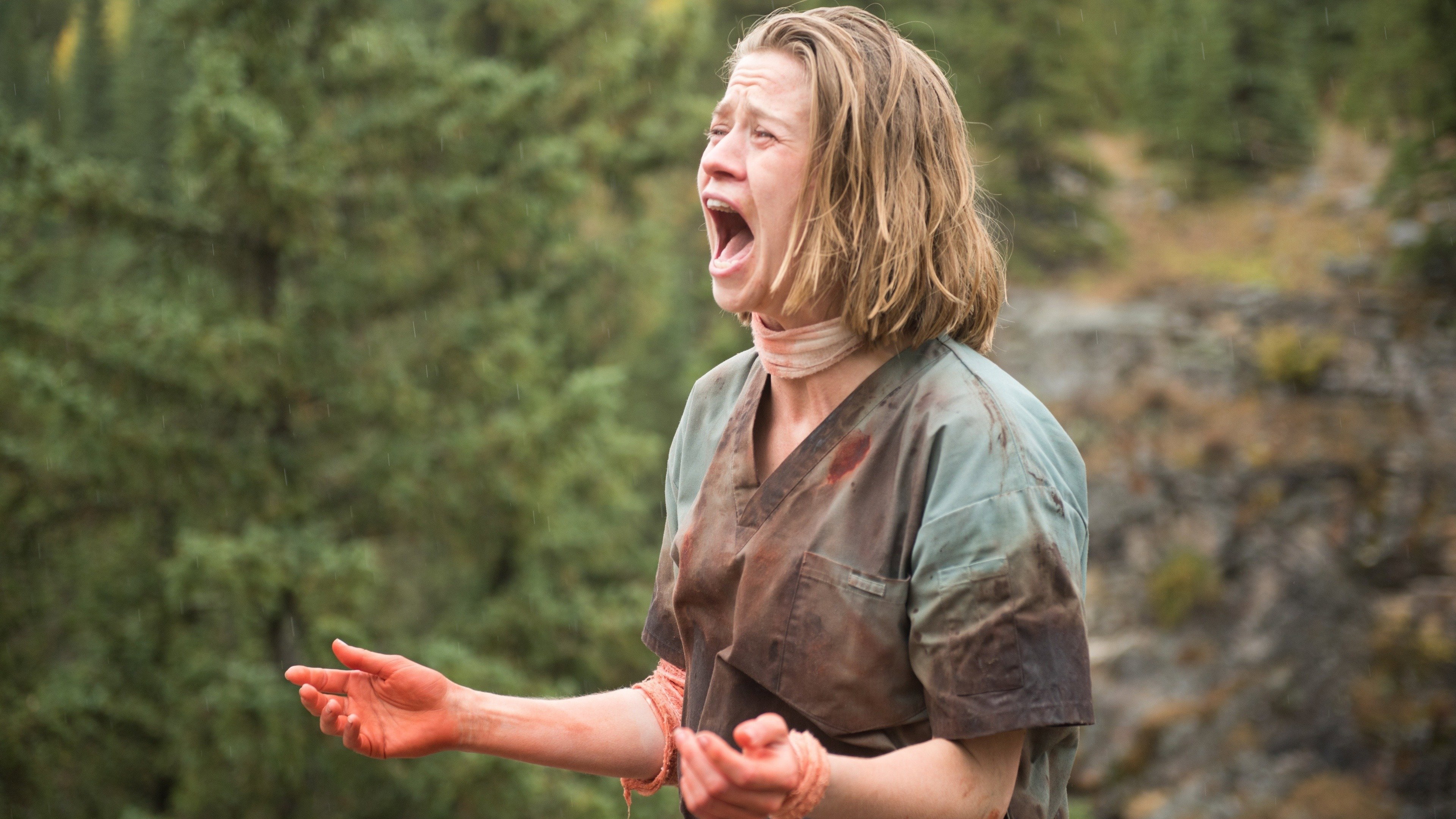 Alive scene photo